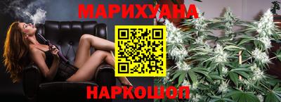 шишки Будённовск