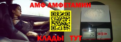 шишки Будённовск